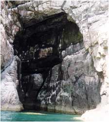 Rum Cliffs & Seabirds 