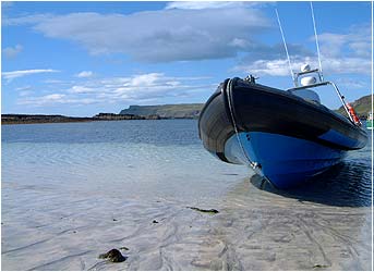 Ashore to Xplore