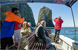 Island Cruiser at the Canna Cliffs