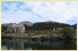 Soay Basking Shark Station